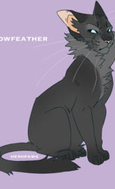 Crowfeather