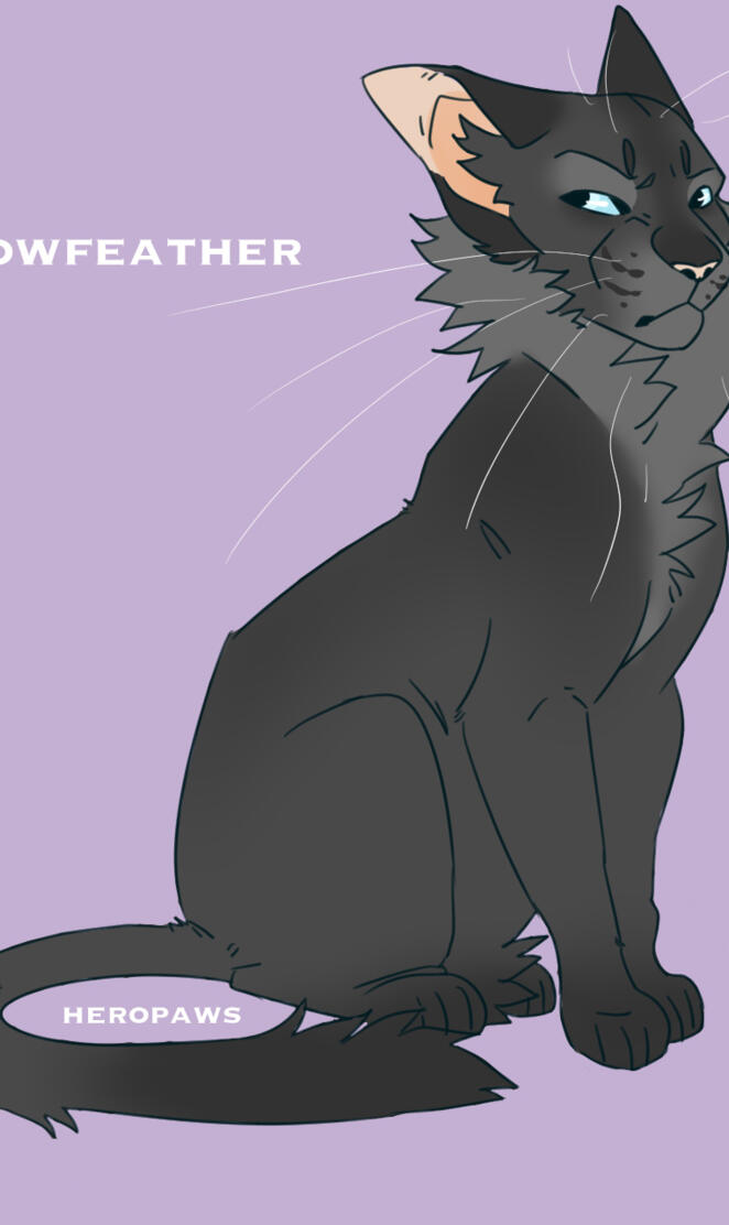 Crowfeather