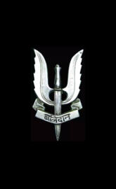 Balidan Badge