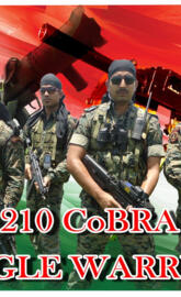 Cobra Commandos
