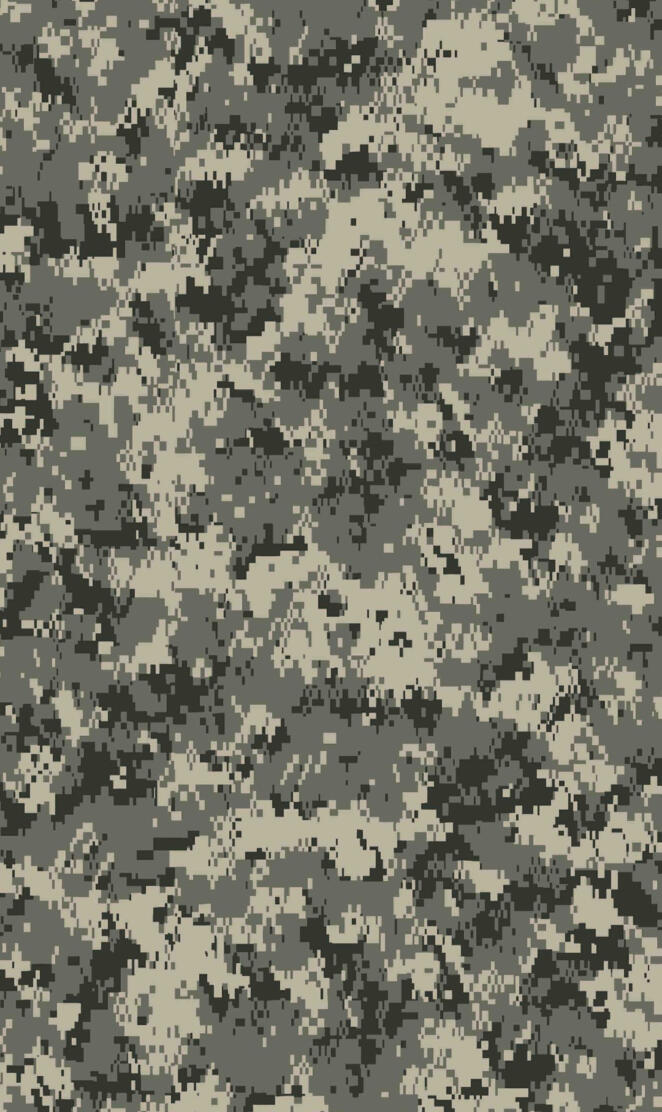 Digital Camouflage