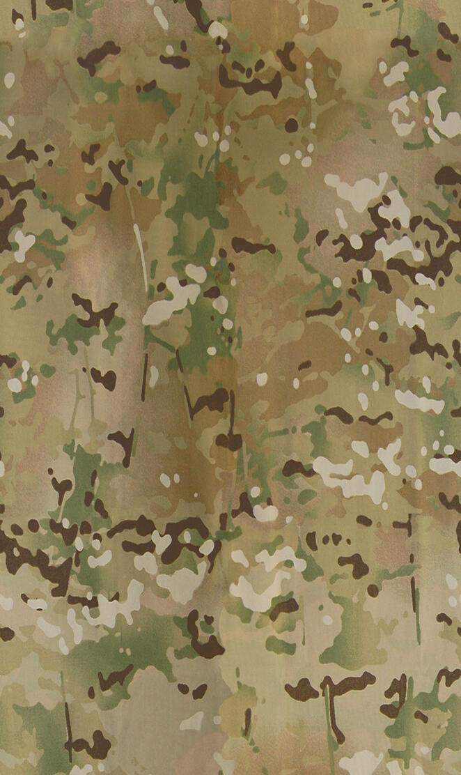 Multicam