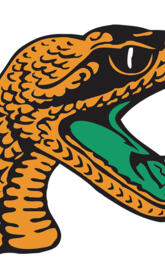FAMU Logo