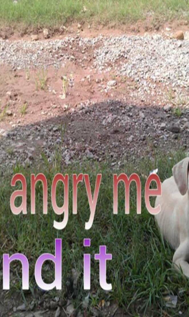 Angry Doggie-LS