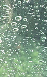 Rain Drops