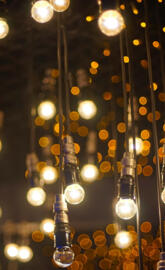 Light Bulbs