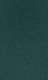 whatsapp wallpaper-g