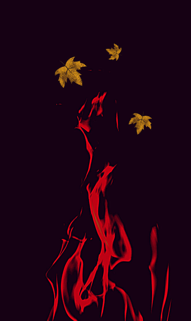 Burning desire