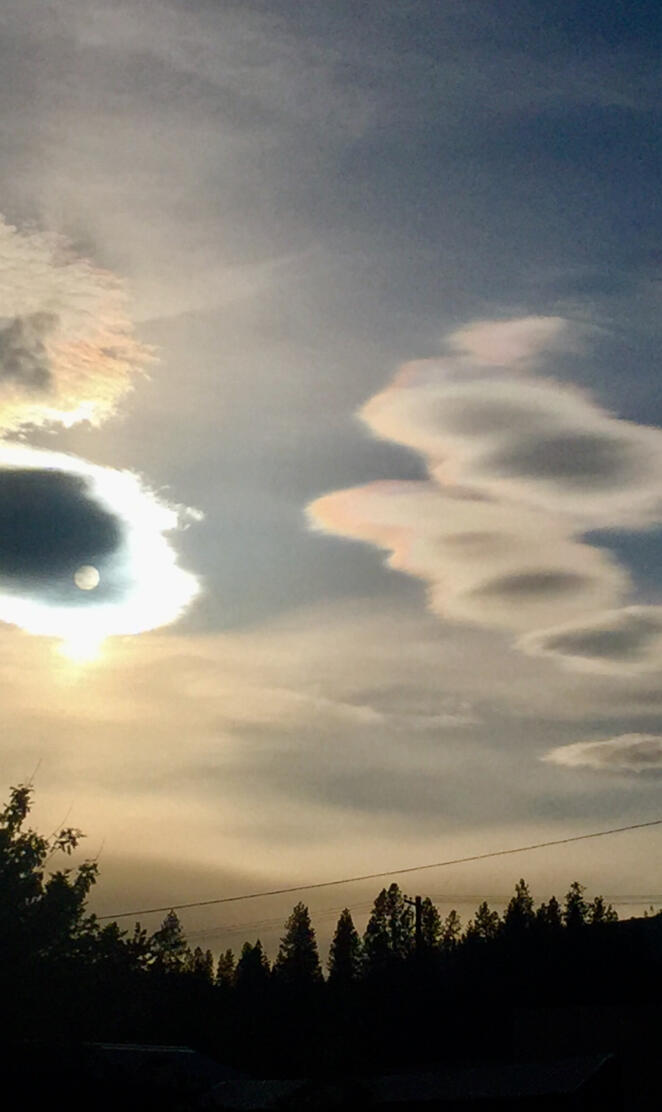 Sky