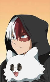Todoroki Shoto cute