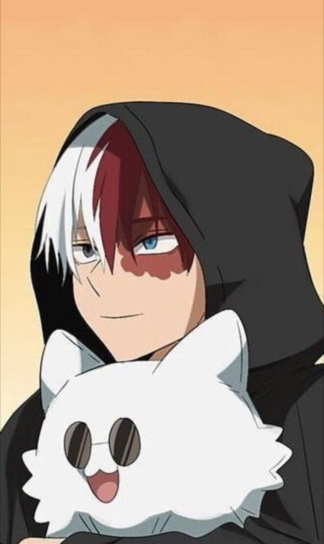 Todoroki Shoto cute