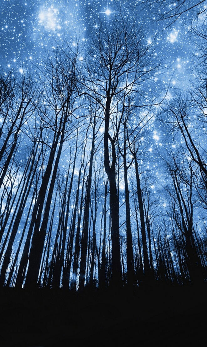 Star Night