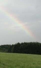 Regenbogen
