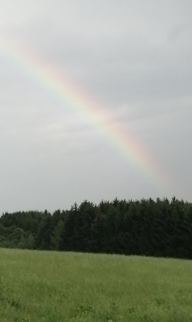 Regenbogen