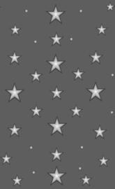 Stars Stars Stars 14