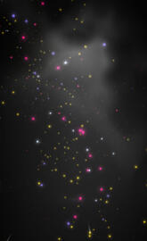 Stars
