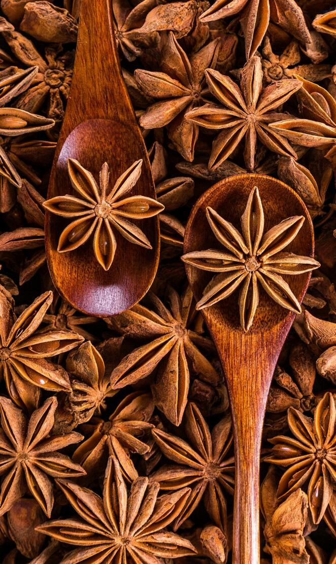 Star Anise