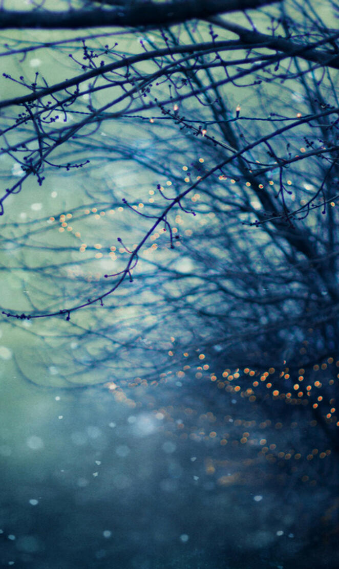 twinkle branches