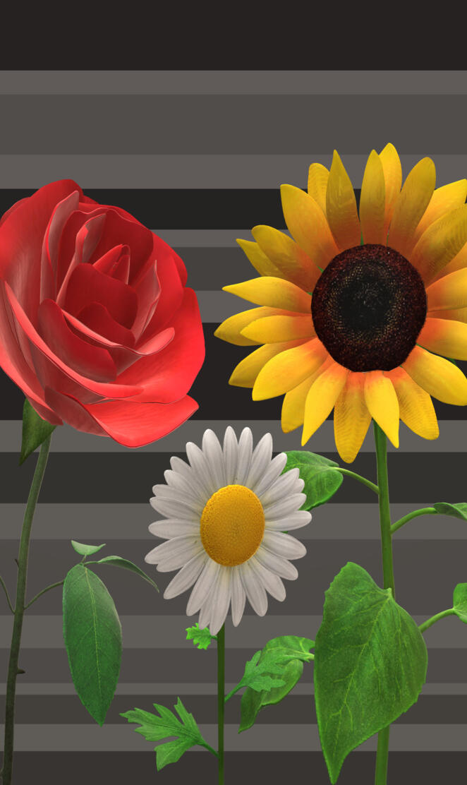 Flowers 3D