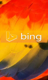 Bing