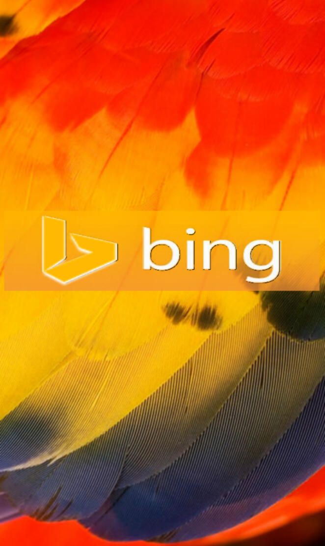 Bing