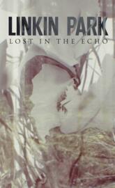 Lost In The Echo