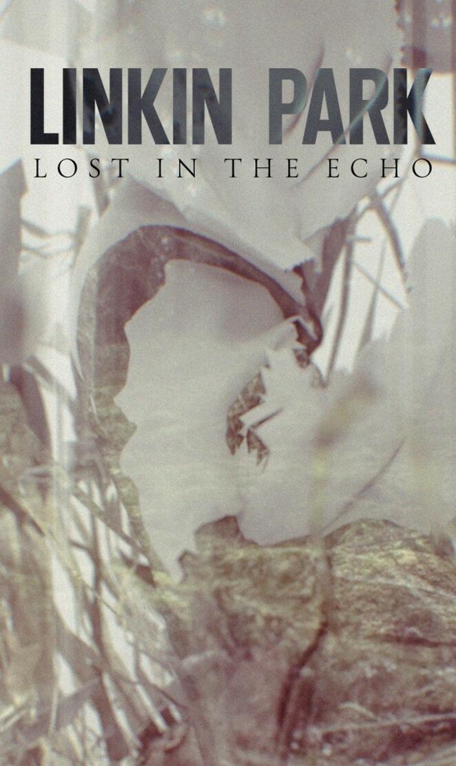 Lost In The Echo