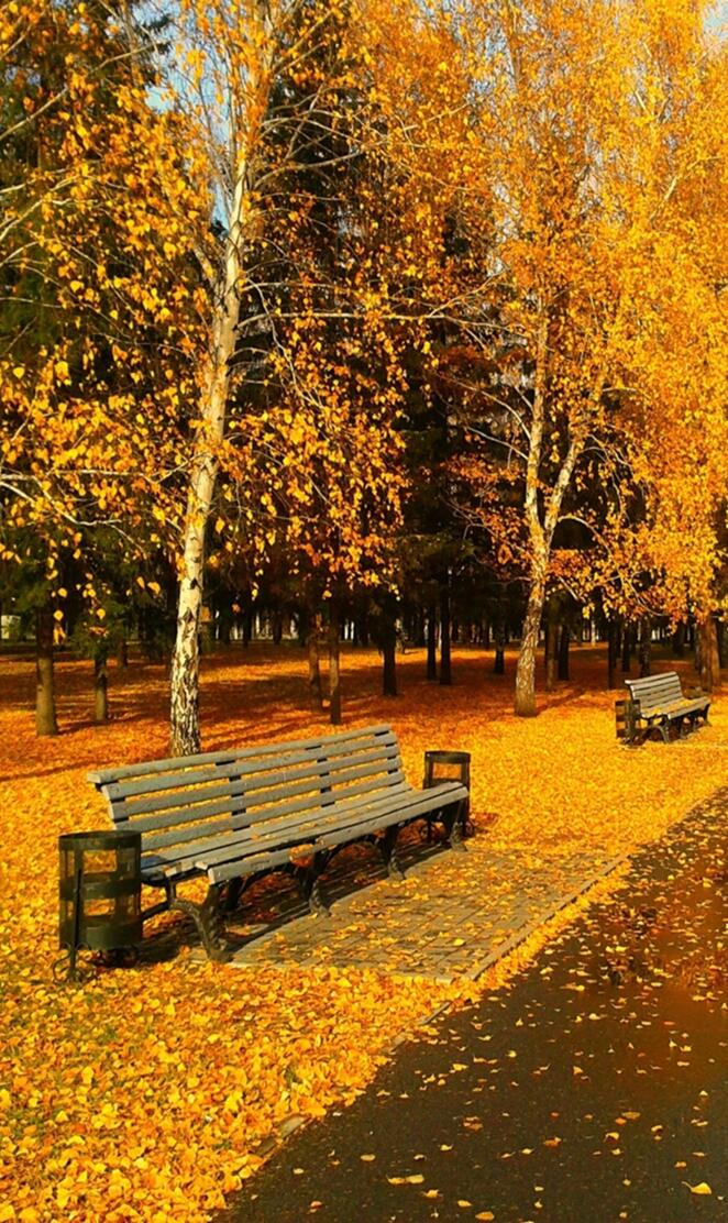 park bench