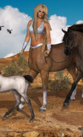 Lady Paloma of Horse