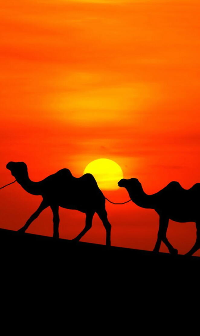 Arabian Sunset