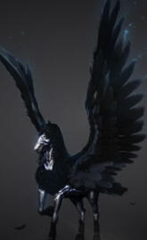 Black beauty Pegasus