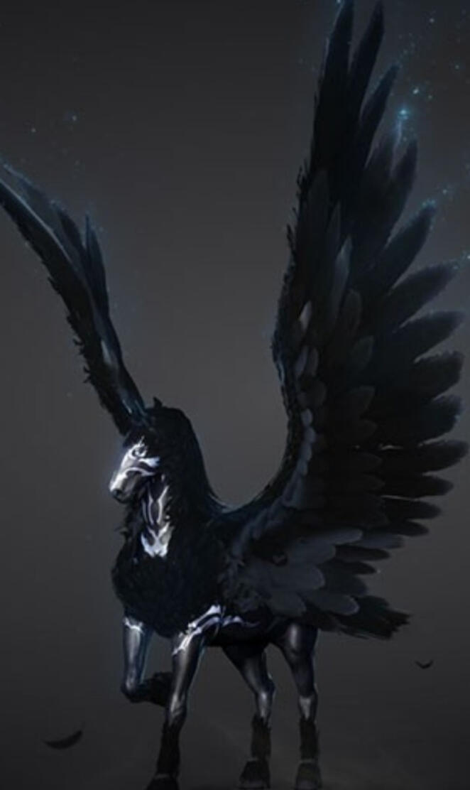 Black beauty Pegasus