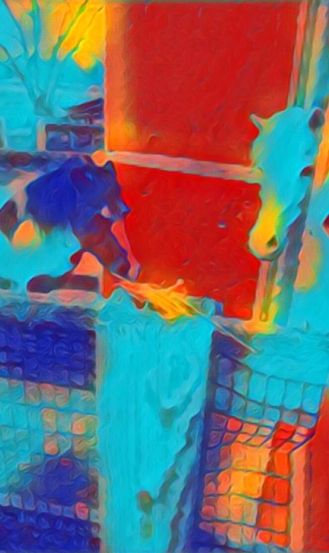 Horses in the stable