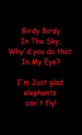 Birdy Birdy