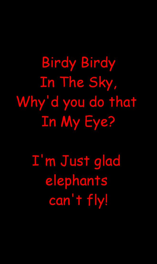 Birdy Birdy