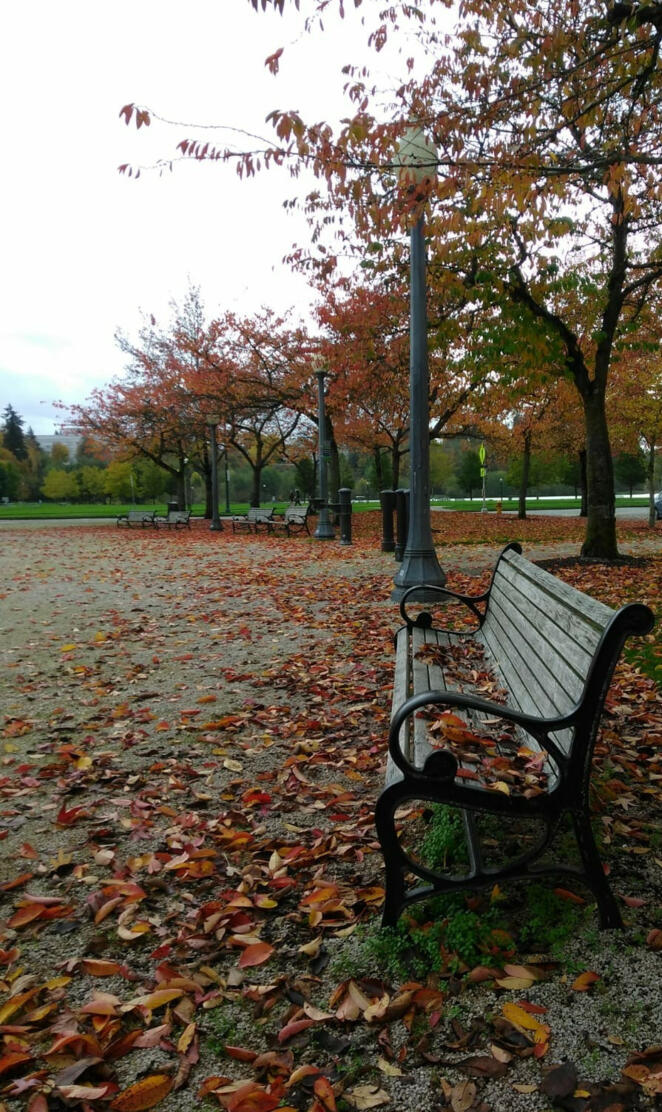 Autumn Bench 
