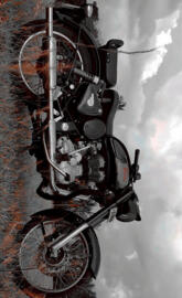 Royal Enfield