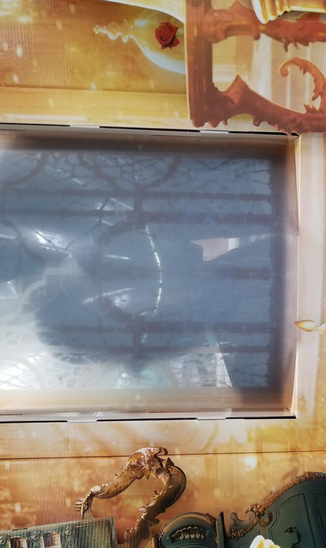 Beauty and the beast