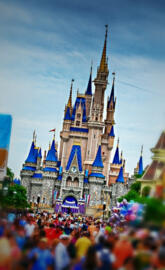 Disney World