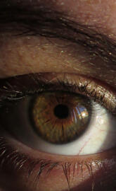 my eye