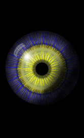 Ukrainian Support Eye