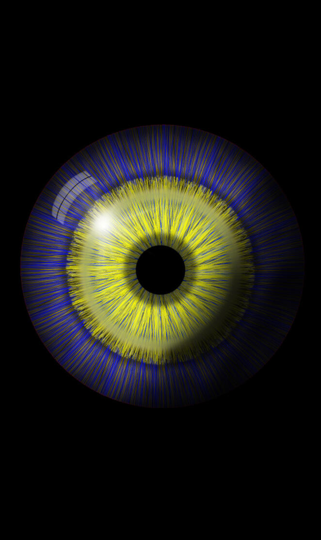 Ukrainian Support Eye