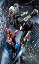 spidermanandblackcat