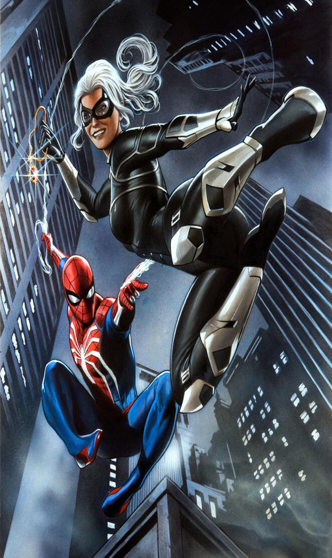 spidermanandblackcat