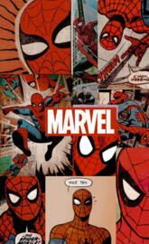 Marvel spiderman