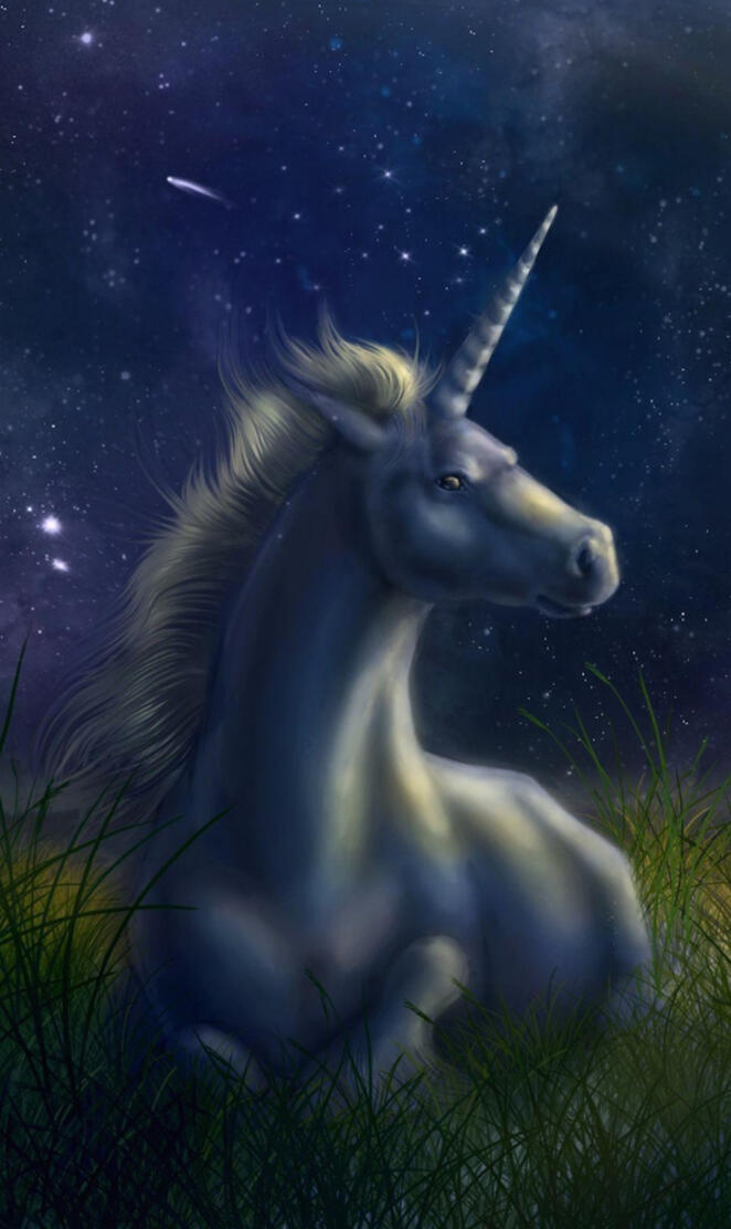 Unicorn