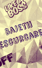 Bajetii Descurcareti