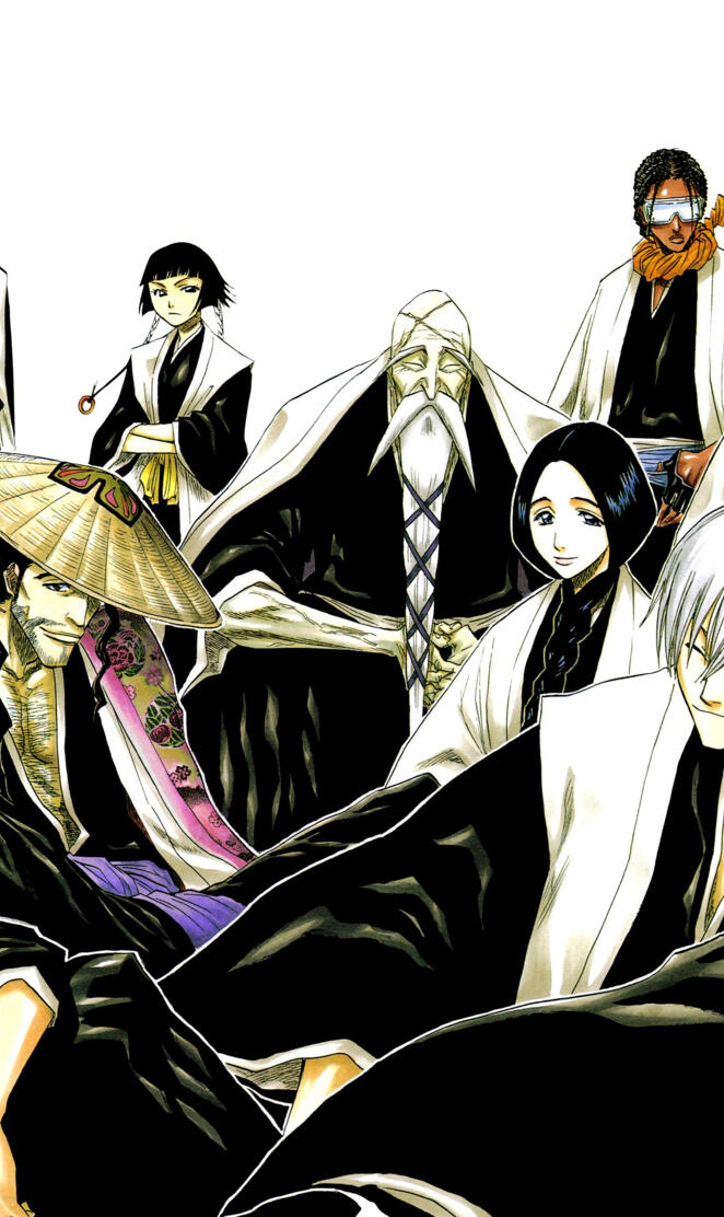 bleach captains