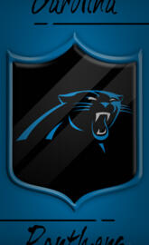Carolina Panthers