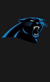 carolina panthers